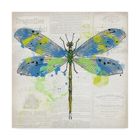 Jean Plout 'Dragonfly On Newsprint 1' Canvas Art,18x18
